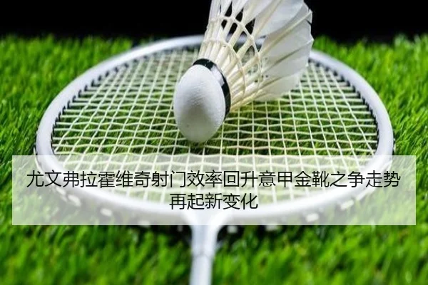 尤文弗拉霍维奇射门效率回升意甲金靴之争走势再起新变化